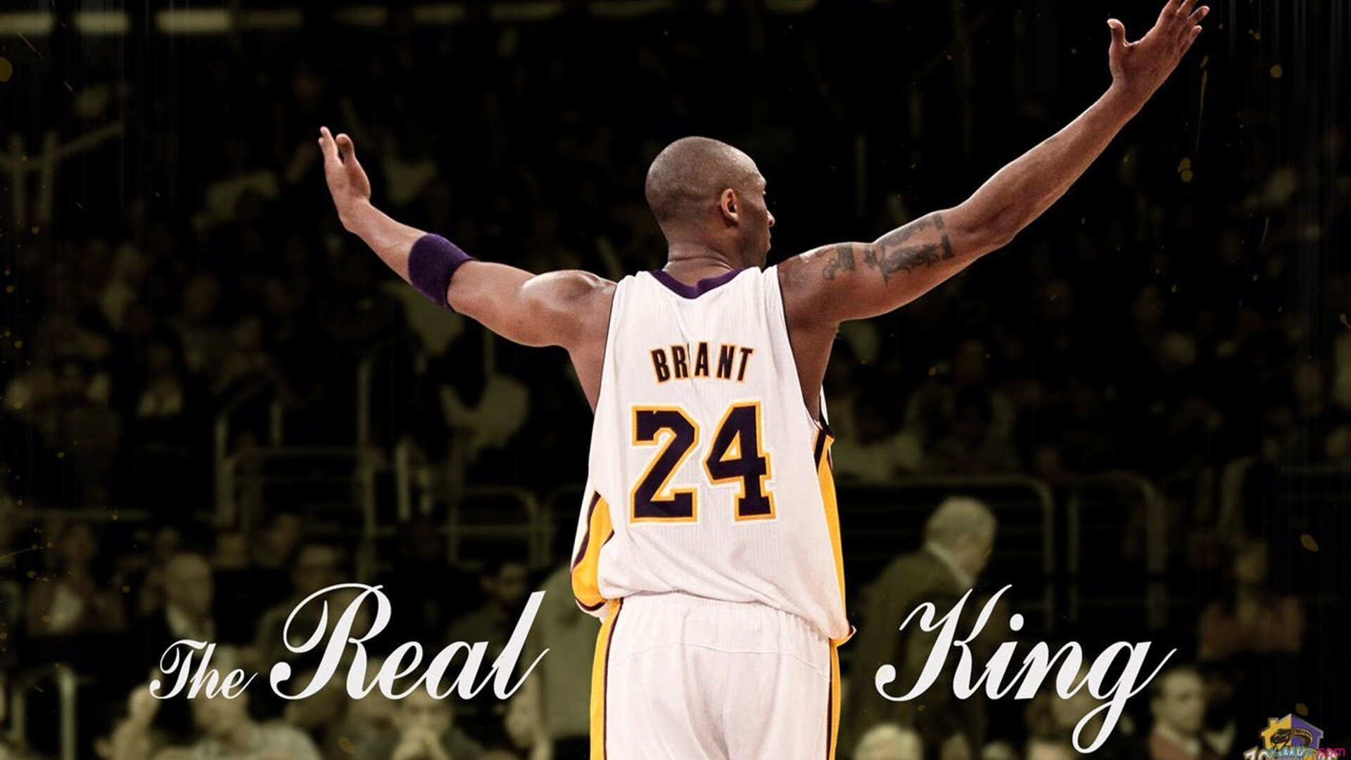 篮球新秀球员最新排名